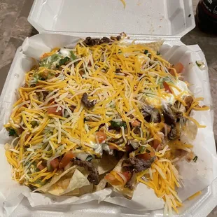 Carne asada nachos