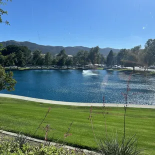 Temecula Duck