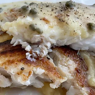pan-seared fresh catch flounder close-up