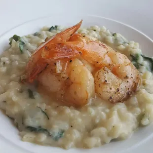 Shrimp Risotto