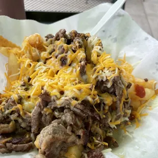 Carne Asada Fries