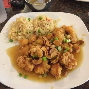 Lunch cashew chicken