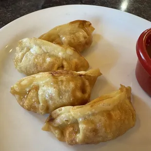 Fried Dumplings