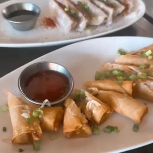 Vegetable Veggie Spring Rolls and pork Gyoza
