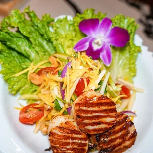 Scallops &amp; Mango Salad