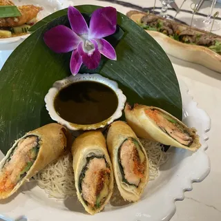 Salmon Avocado Rolls