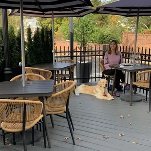 Dog friendly outdoor patio