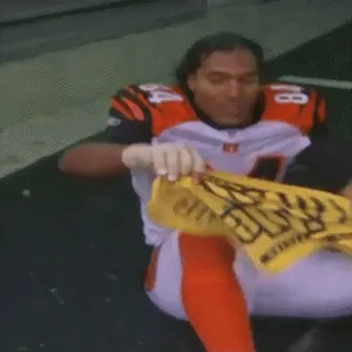 D S.