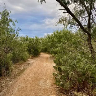 Trail