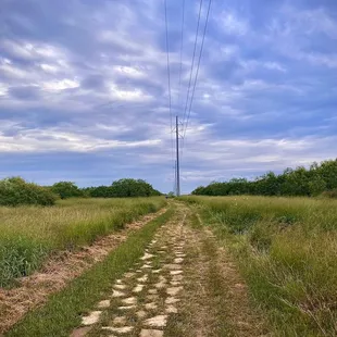 Trail