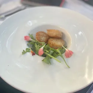 Scallops
