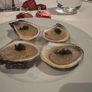 Oysters