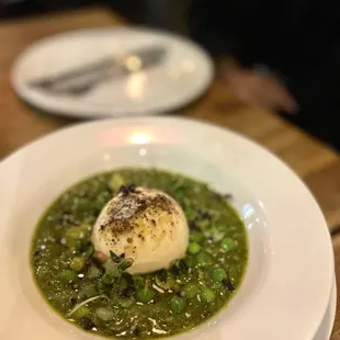 Burrata al pesto