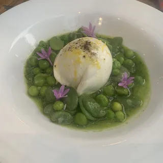 BURRATA AL PESTO