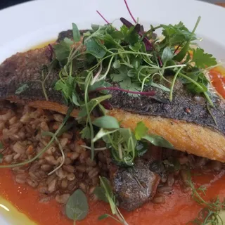 BRANZINO