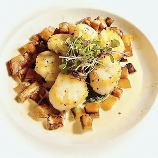 scallops and potatoes on a white plate