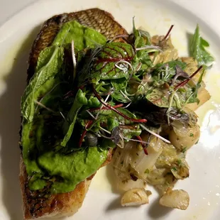 Sea Bass