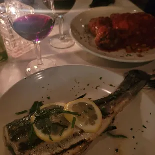 Branzino special &amp; lasagna