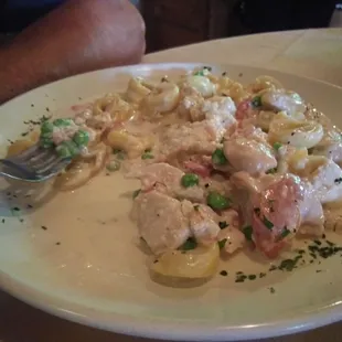 Tortellini Alfredo with chicken added