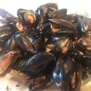 oysters and mussels, oysters, food, mussels, shellfish
