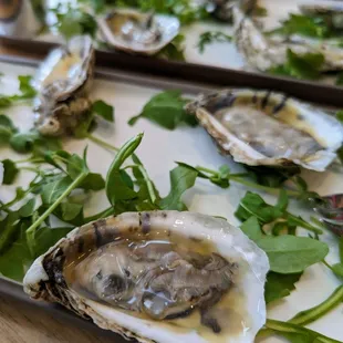 Ostriche del Giorno. Raw oysters on the half shell, 6 for $18. Local selection, daily mignonette. These were from Morehead City, NC.