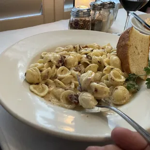 Orecchiette Carbonara Gorgonzola