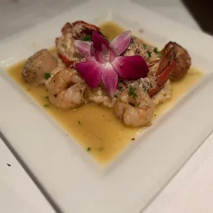 a square plate of food