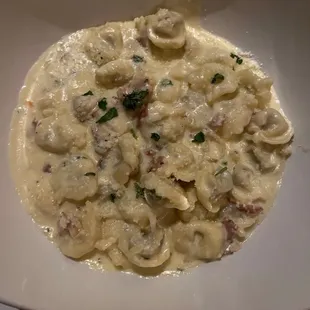 Orecchiette Alla Panna Con Pomodoro E Salsicca