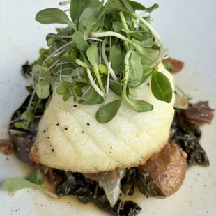 Halibut