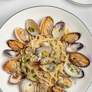 food, pasta, pasta dish