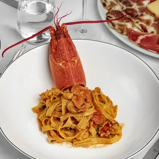 food, pasta, pasta dish