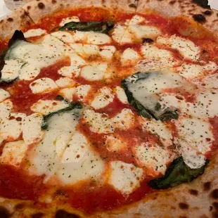 Margherita Pizza