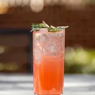 a glass of a drink with a sprig of rosemary