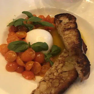 Mozzarella di Bufala & Sungold Tomatoes