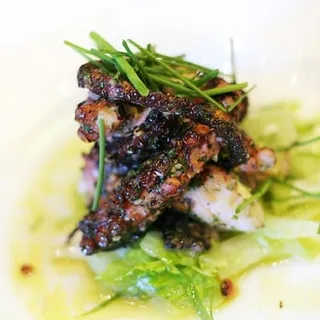 Grilled Octopus