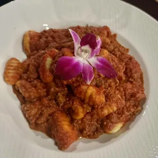 Gnocchi Ragu