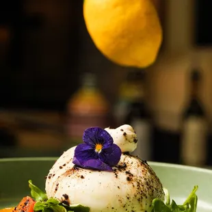 Burrata e Pomodorini