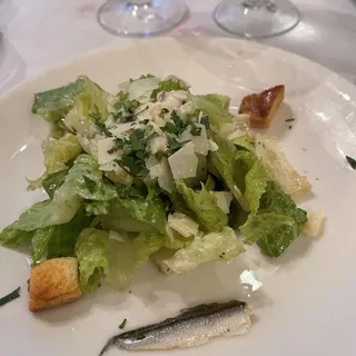 Insalata Caesar