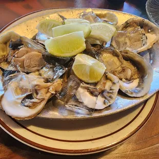 Oysters