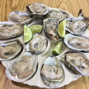 Fresh, fresh, fresh oysters!  4-19-18.