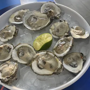 Raw oysters