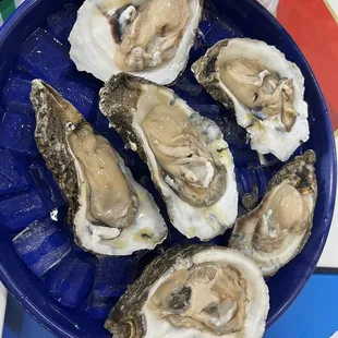 Oysters