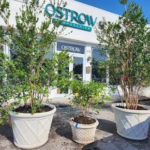 Outside of the restaurant