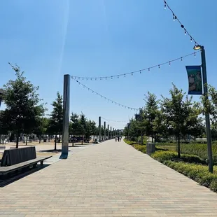 a walkway with benches and string lights