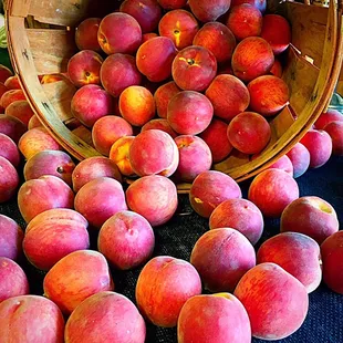 Peaches are in season!!