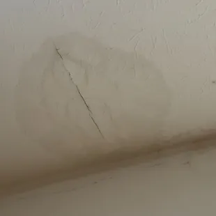 Mold and water damage inside OSULIVE apartment