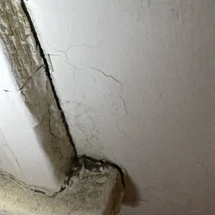 Mold and water damage OSULIVE apartment