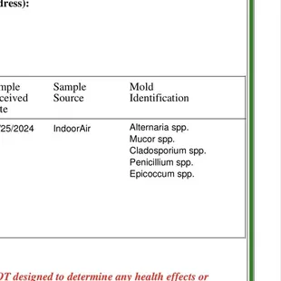 Mold testing results