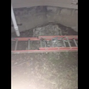 ladder they left at the side of our house that got us robbed