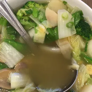 Wonton Soup